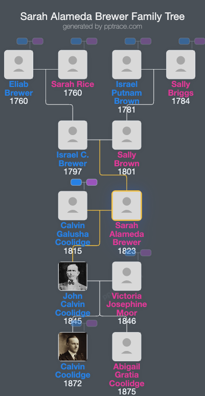 Sarah Alameda Brewer family tree overview