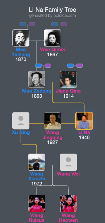 Li Na family tree overview