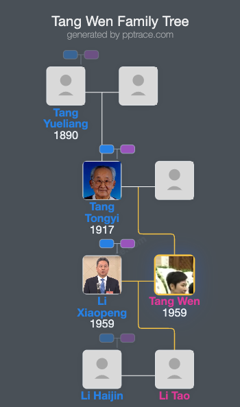 Tang Wen family tree overview