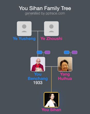 You Sihan family tree overview