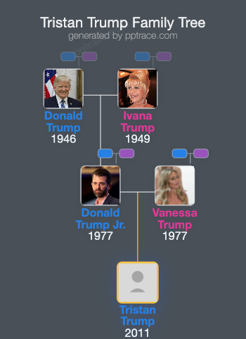 Tristan Trump family tree overview