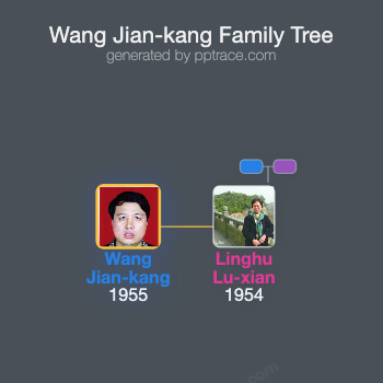 Wang Jian-kang family tree overview