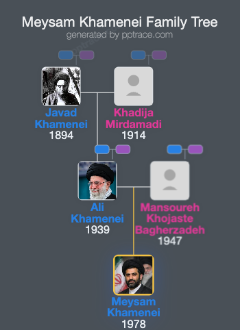 Meysam Khamenei family tree overview