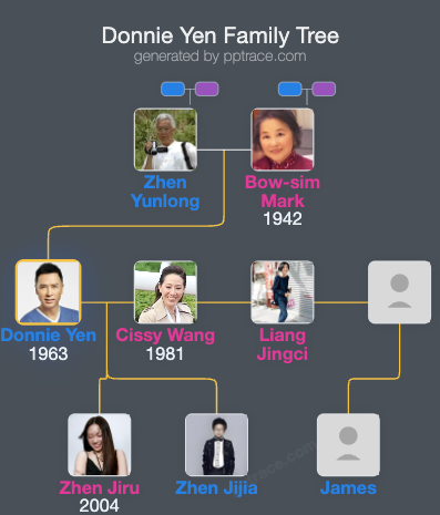 Donnie Yen family tree overview