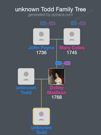 Unknown Todd family tree overview