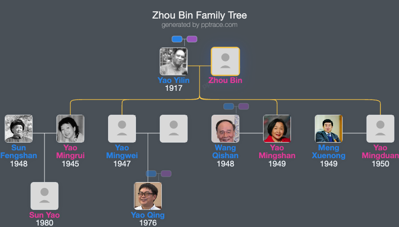 Zhou Bin family tree overview