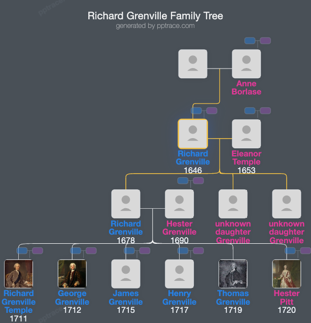 Richard Grenville family tree overview