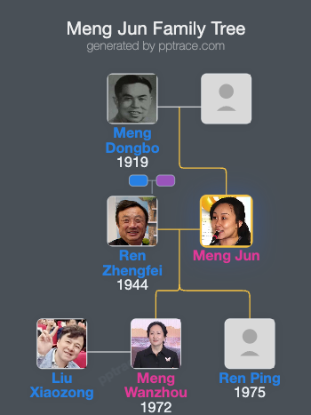 Meng Jun family tree overview