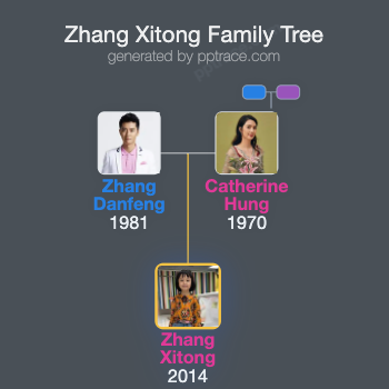 Zhang Xitong family tree overview