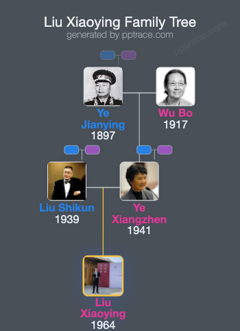 Liu Xiaoying family tree overview