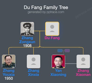 Du Fang family tree overview