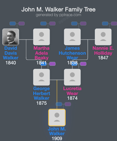 John M. Walker family tree overview