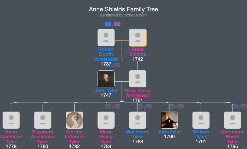Anne Shields family tree overview