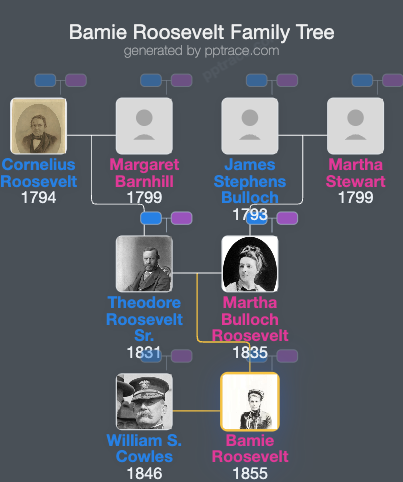 Bamie Roosevelt family tree overview