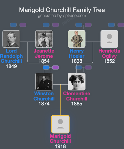 Marigold Churchill family tree overview