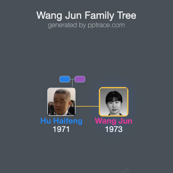 Wang Jun family tree overview