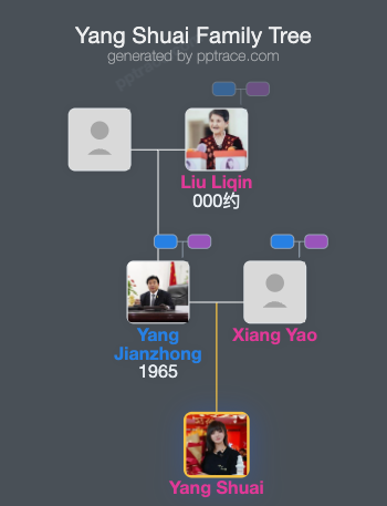 Yang Shuai family tree overview
