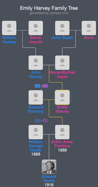 Emily Harvey family tree overview