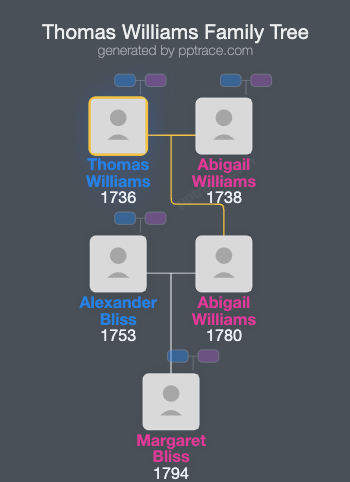 Thomas Williams family tree overview