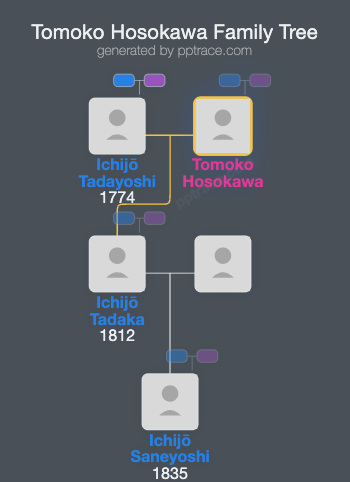 Tomoko Hosokawa family tree overview