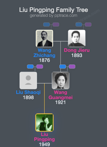 Liu Pingping family tree overview