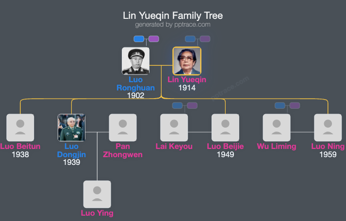 Lin Yueqin family tree overview