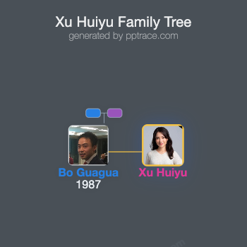 Xu Huiyu family tree overview