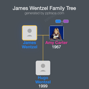 James Wentzel family tree overview