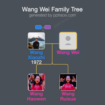 Wang Wei family tree overview