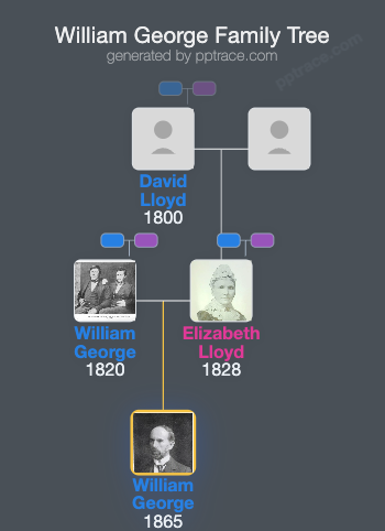 William George family tree overview