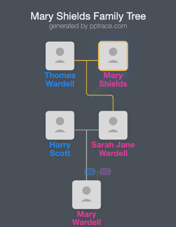 Mary Shields family tree overview