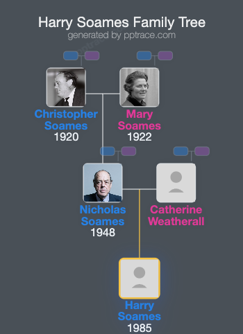 Harry Soames family tree overview