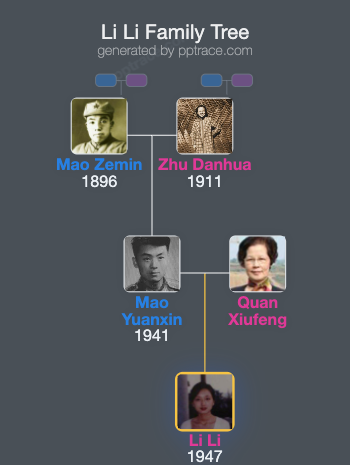 Li Li family tree overview