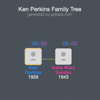 Ken Perkins family tree overview