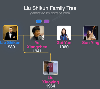 Liu Shikun family tree overview