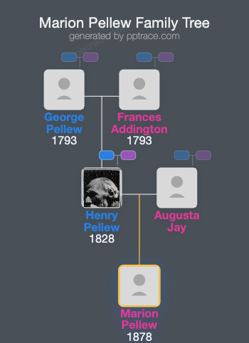 Marion Pellew family tree overview