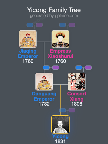 Yicong family tree overview