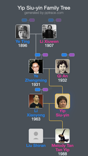 Yip Siu-yin family tree overview