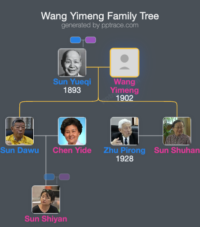 Wang Yimeng family tree overview