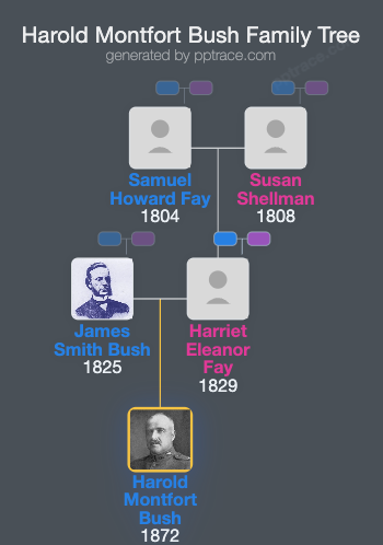 Harold Montfort Bush family tree overview
