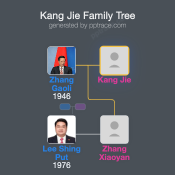 Kang Jie family tree overview