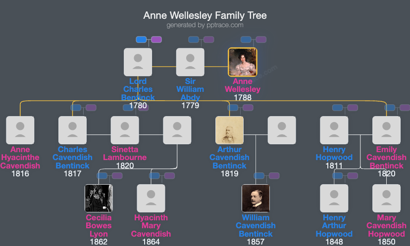 Anne Wellesley family tree overview