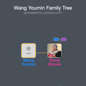 Wang Youmin family tree overview