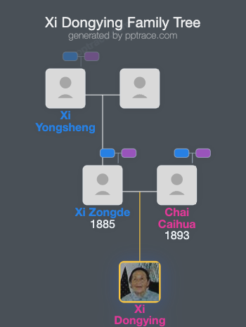 Xi Dongying family tree overview