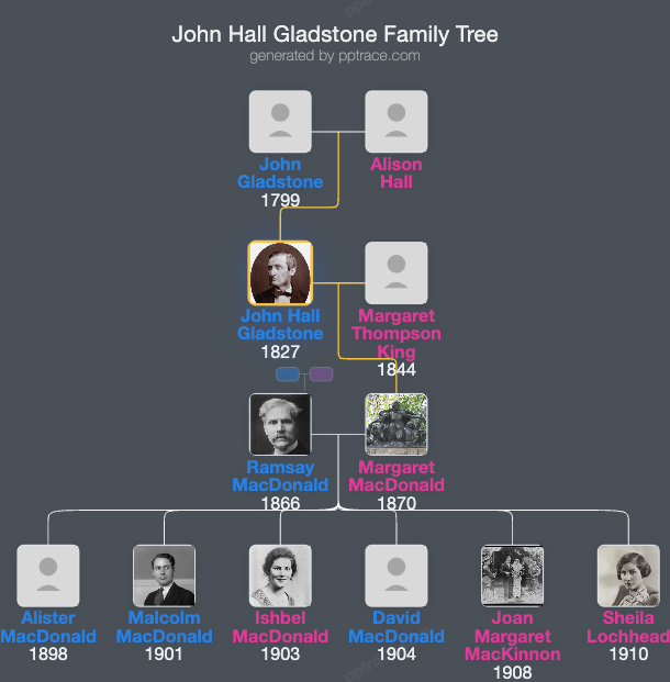 John Hall Gladstone family tree overview