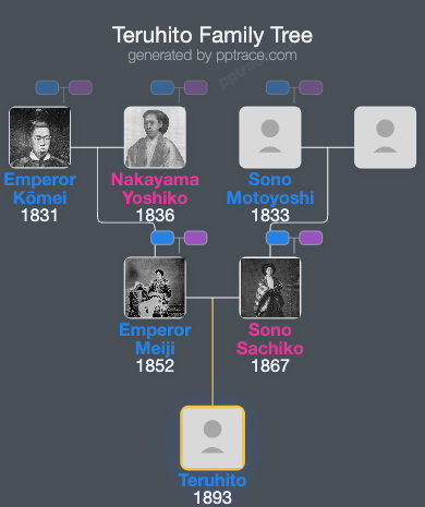 Teruhito, Prince Mitsu family tree overview