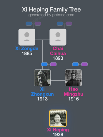 Xi Heping family tree overview