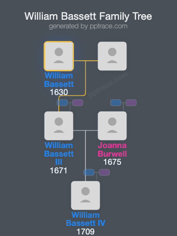 William Bassett family tree overview