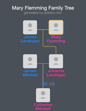 Mary Flemming family tree overview