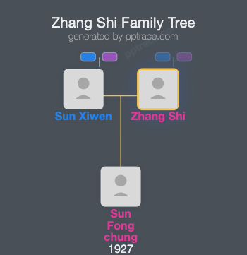 Zhang Shi family tree overview